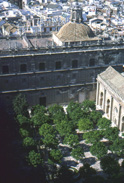 Patio-de-los-Naranjos.jpg