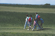 SS-103.jpg