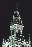 img294.jpg