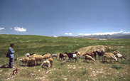 img405.jpg