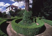 img451.jpg